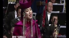 迁徙