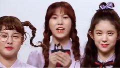 MOMO LAND - SIMPLY'S PICK