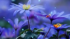 音乐短片 - 慈祥的母亲