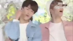 Astro(韩国) - Cherry Blossom Ending 樱花盛开结局