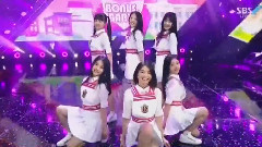 BONUSbaby - 成为大人的话
