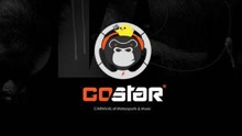  - 2017GoStar汽车文化音乐嘉年华宣传ID