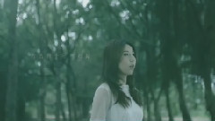 华语群星 - 我不归去
