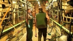 音乐短片 - Intelligent Technology Smart Farming Automatic Cow Milking Machine, Feeding, Cleaning, Washing