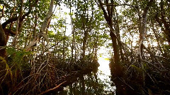 音乐短片 - 圣地伯利兹