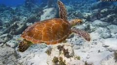 音乐短片 - BlackBerry PlayBook