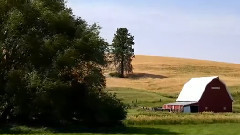 音乐短片 - 帕卢斯华盛顿七月美