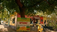 Pitbull - Options
