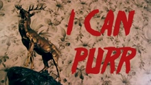 The Dodoz - I Can Purr (Official Music Video)