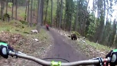 音乐短片 - Bear On The Bikepark Malino Brdo SLOVAKIA