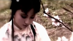 葬花吟