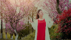 曾敏 - 来世情缘