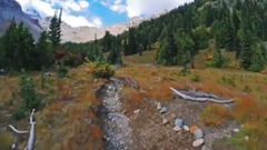 风景,音乐短片,轻音乐,乐动城市 - 美国华盛顿州雷尼尔山国家公园 EP3