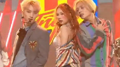 Triple H - Sunflower&365 FRESH