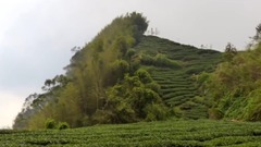 音乐短片 - 你的眼神