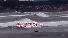 音乐短片 - 老鹰之歌