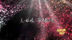 张韶涵 - 再见之前