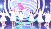 Lovelyz - 现在，我们 饭拍版 17/05/11