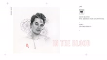 In the Blood (Pseudo Video)
