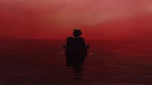 Harry Styles - Sign of the Times (Pseudo Video)