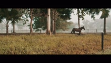 Puedo Ser (Video Oficial)