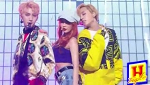 Triple H - Triple H-Sunflower+365 FRESH
