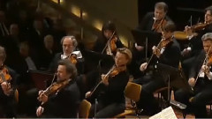 音乐短片 - 小步舞曲 莫扎特