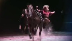 音乐短片 - 舞马