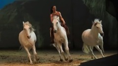 音乐短片 - 《Cavalia·舞马》北京站倒数第15场明日上演