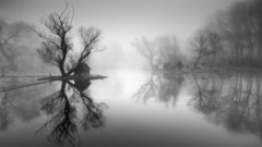 音乐短片 - Crying Heart