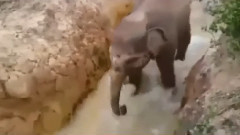 音乐短片 - 世上只有妈妈好