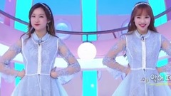 April(韩国) - 鳄鱼群