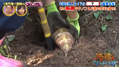 AKB48,乃木坂46 - 生駒里奈 タケノコ王