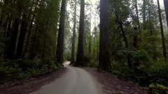 音乐短片 - Drenched