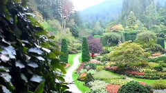 风景,音乐短片,轻音乐,乐动城市 - 加拿大布查德花园(Butchart Gardens)
