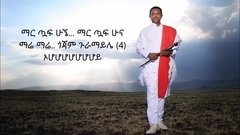 欧美群星 - Branaye