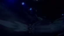 Me Rendo (Ao Vivo)