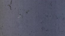 Track By Track - Parte 3 Diciembre