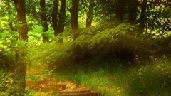 音乐短片 - 古筝神韵