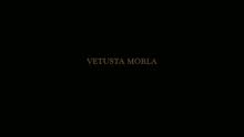 Una Sonata Fantasma (Lyric Video)