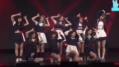 TWICE - SIGNAL