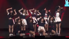 TWICE - SIGNAL - Showcase 现场版 17/05/15