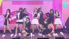 TWICE - TT & Konck Knock