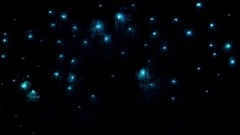 音乐短片 - 一闪一闪亮晶晶