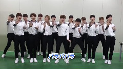 韩国群星 - Very Very Very 应援版