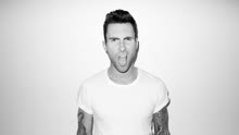 Adam Levine - Mic Jack