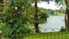 音乐短片 - 卓依婷一首超好听的歌,祝大家明天会更好!