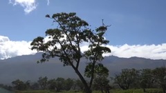 风景,音乐短片,轻音乐 - 肯尼亚国家公园