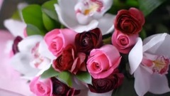 音乐短片 - 忘不了母亲节