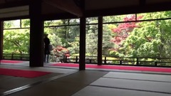 风景,音乐短片,日本娱乐 - 日本京都新绿